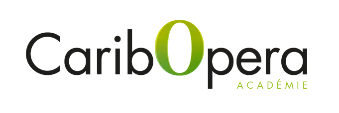 LogoCaribAcademie